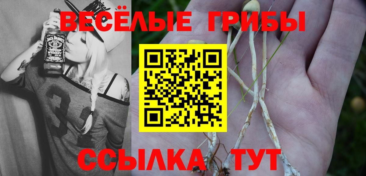 Галлюциногенные грибы Cubensis Ханты-Мансийск